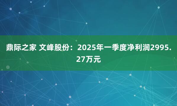 鼎际之家 文峰股份：2025年一季度净利润2995.27万元